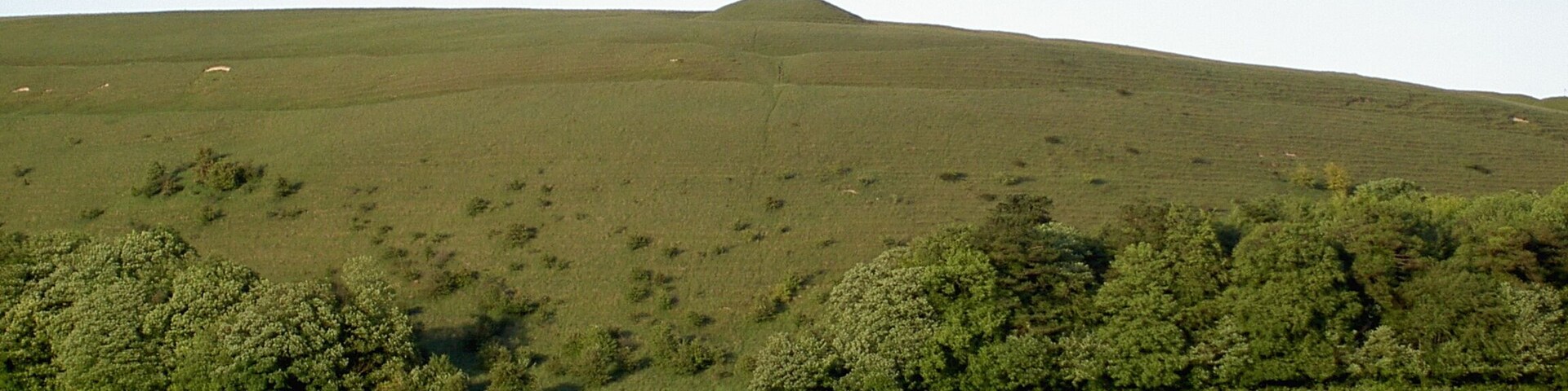 Scratchbury Hill