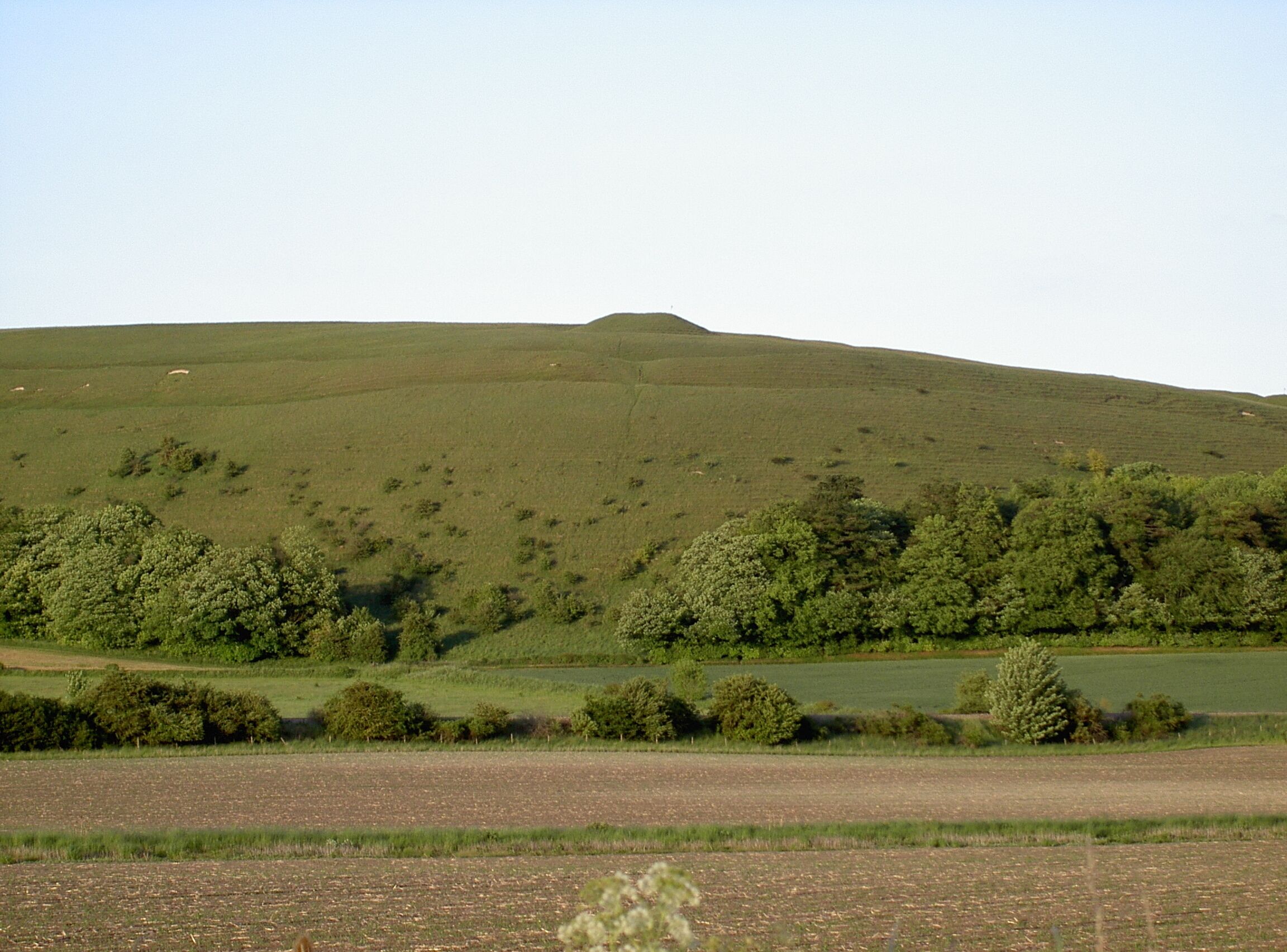 A green hill with trees and a field in the foreground.