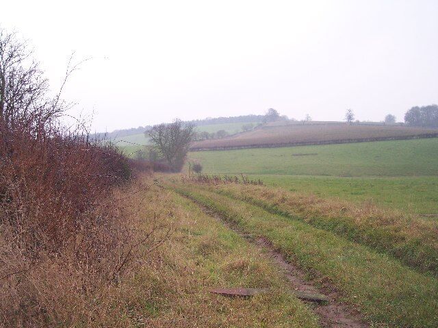 Fields of Pool Farm, Evesbatch. Looking south down a track from Pool Farm over the fields towards Ashen coppice on the ridge.