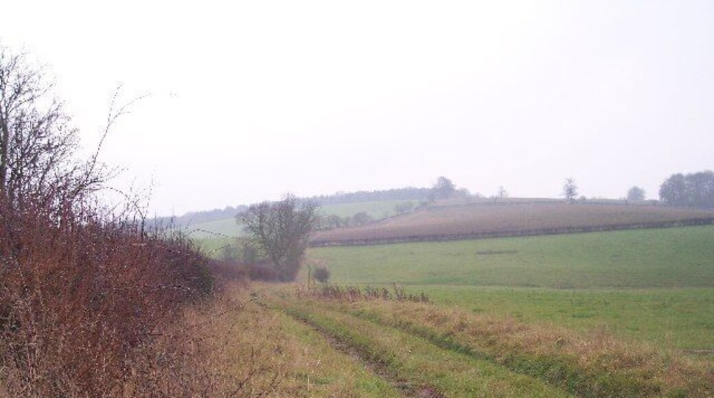 Fields of Pool Farm, Evesbatch. Looking south down a track from Pool Farm over the fields towards Ashen coppice on the ridge.