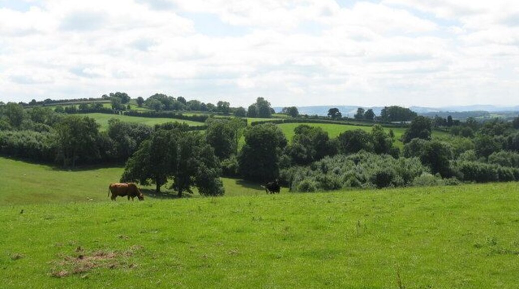 Rolling countryside near Acton Beauchamp