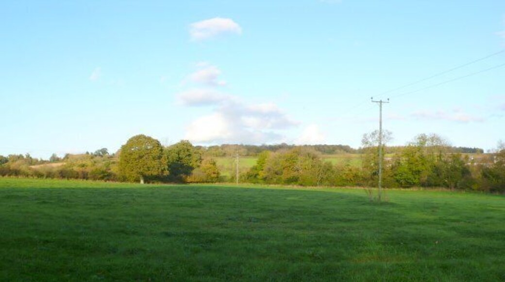 Countryside near Bishops Caundle In the very north of the square, looking east, just to the east of the village