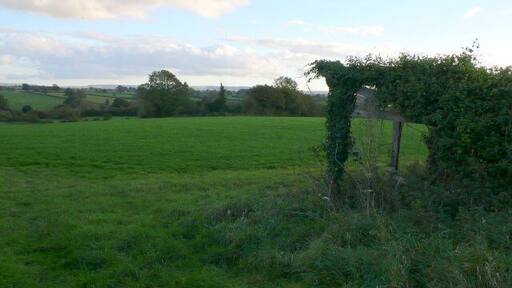 Derelict Barn, Bishops Caundle A derelict barn just of the A3030 just to the east of the village
