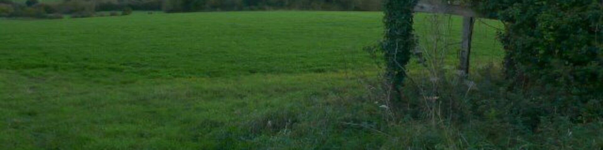 Derelict Barn, Bishops Caundle A derelict barn just of the A3030 just to the east of the village