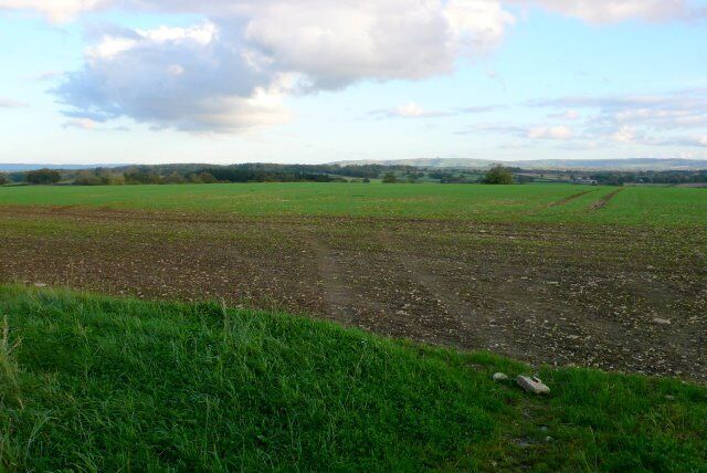 Countryside near Bishops Caundle Freshly seeded fields just north of the village