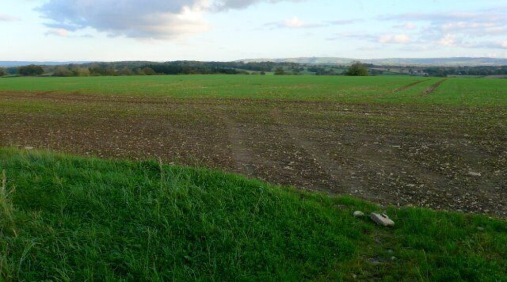 Countryside near Bishops Caundle Freshly seeded fields just north of the village