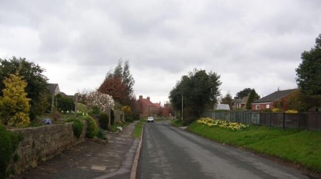 Bishop Monkton Looking down one of the roads in the triangle of Bishop Monkton.