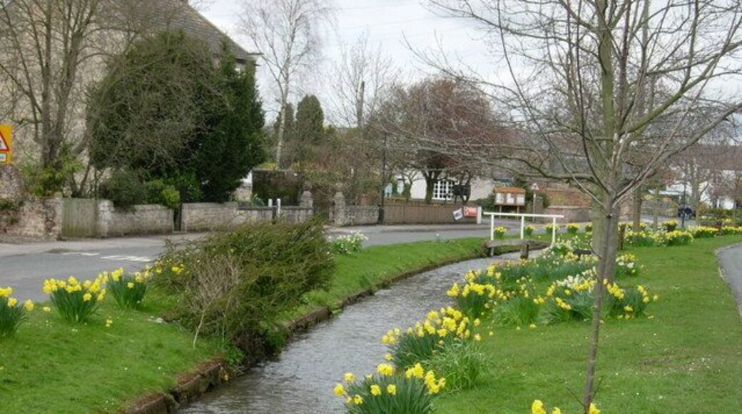 Bishop Monkton village The Ripon Rowel walk passes through the village.