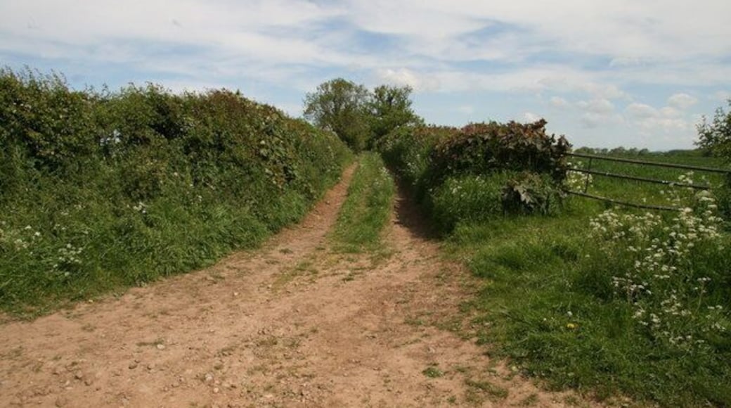 Croft Lane From St John's Road in Bishop Monkton take Ings Lane up Nantodd Hill. Croft Lane is on the left at SE322661 and takes you back to the bottom of Hungate. Turning left up Main Street returns you to your starting point, a short stroll of just over one kilometre.