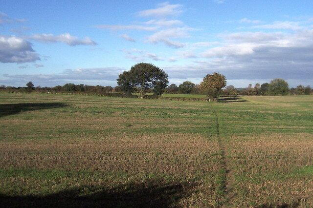 Footpath heading towards Bishop Monkton This cross country path leads from Burton Leonard to Bishop Monkton - at this point roughly halfway between the two villages