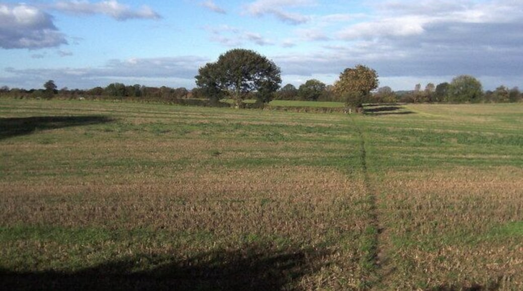 Footpath heading towards Bishop Monkton This cross country path leads from Burton Leonard to Bishop Monkton - at this point roughly halfway between the two villages