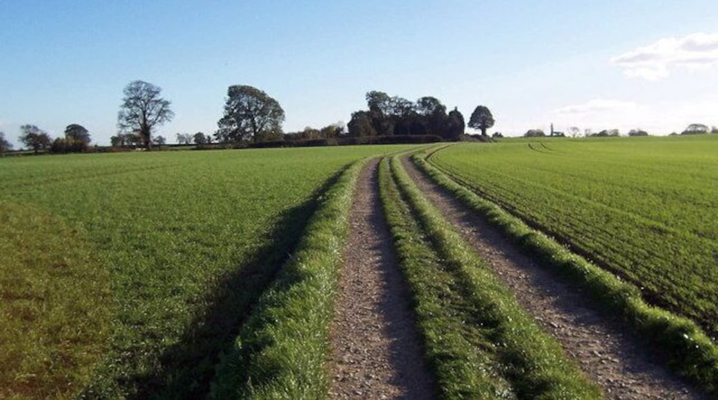 Track heading for Burton Leonard This fine track is part of a pleasant right of way that runs from Bishop Monkton to Burton Leonard