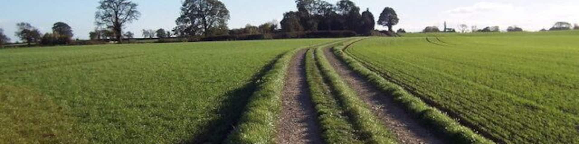 Track heading for Burton Leonard This fine track is part of a pleasant right of way that runs from Bishop Monkton to Burton Leonard