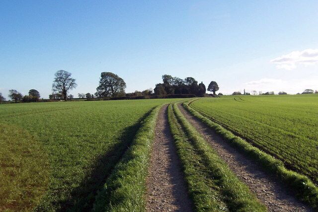 A rural landscape with a dirt path, green fields, and trees in the background.