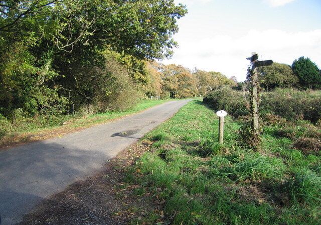 Country Lane - Westlands
