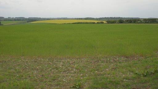 Farmland west of Honey Hills road to the north of Bircham Newton