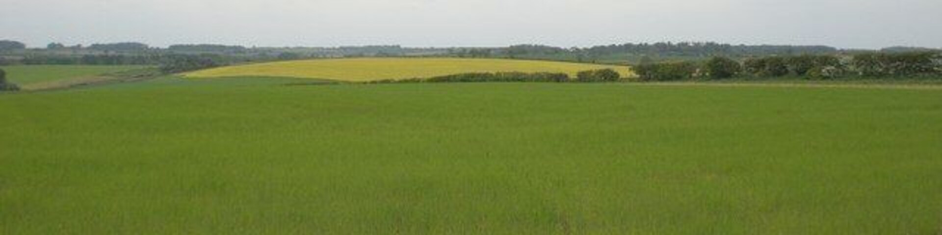 Farmland west of Honey Hills road to the north of Bircham Newton