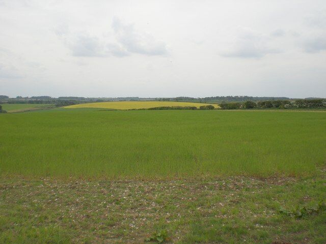 A vast green field with a yellow patch in the distance, under a cloudy sky.