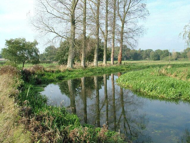 Trees and Reflection in River. This is upstream of Bintree Mill. A road follows the river to the left.