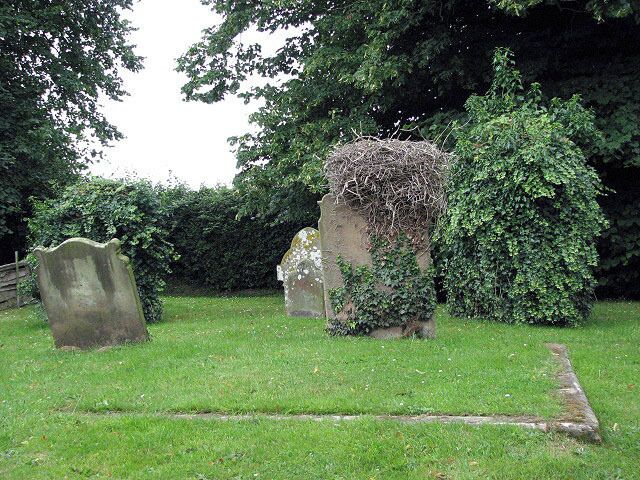 St Swithin's church - churchyard. The southwestern section of the old churchyard surrounding St Swithin's church. The new section is located across the road from here, on the other side of Church Lane > 893327. The chancel is dated by the C12 pillar piscina; the nave and the long south transept - making the church L-shaped > https://www.geograph.org.uk/photo/893531 - https://www.geograph.org.uk/photo/893547 - date from the 13th century; the tower was added a century later. The church > https://www.geograph.org.uk/photo/893331 - https://www.geograph.org.uk/photo/893542 - https://www.geograph.org.uk/photo/893553 was rebuilt and restored in the 18th and 19 centuries but has retained its C14 font > https://www.geograph.org.uk/photo/893554. The stained glass windows are C19 - the east window > https://www.geograph.org.uk/photo/893544 was made by Alexander Gibbs and the south transept windows > https://www.geograph.org.uk/photo/893549 - https://www.geograph.org.uk/photo/893550 are by William Wailes. The grass in the eastern and northern sections of the churchyard has not been cut and conceals an a 13th century stone coffin lid. The church is kept locked but a key is available on request. For more information see: http://www.norfolkchurches.co.uk/bintree/bintree.htm