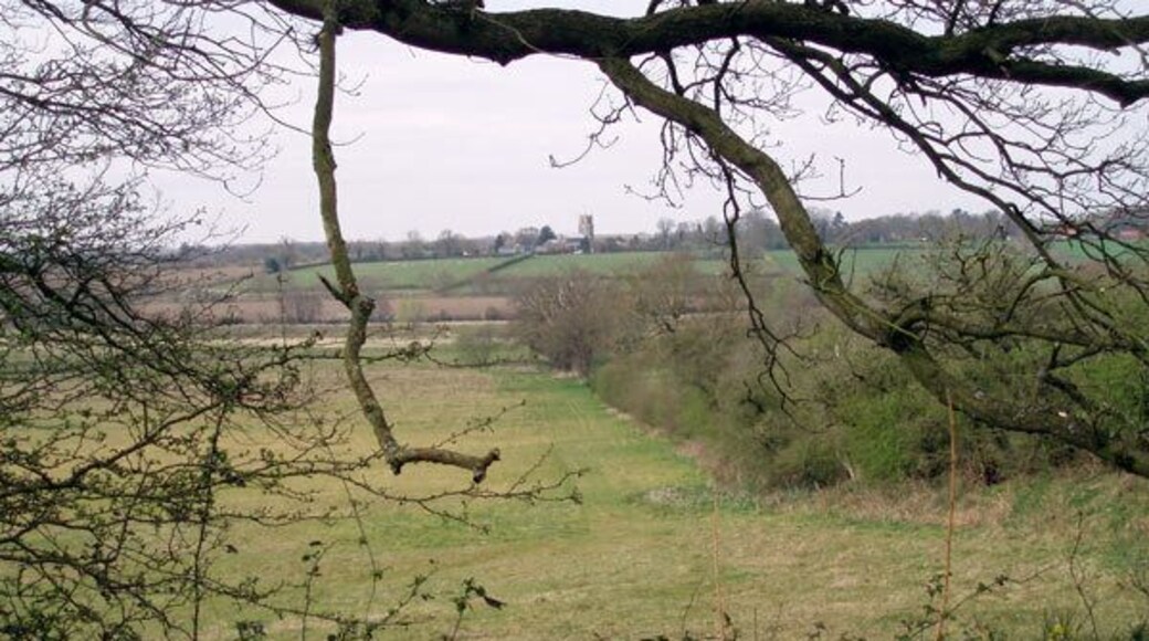 Wensum meadows From the edge of Bintree Woods, meadows lead down to the River Wensum, with North Elmham church visible in the distance.