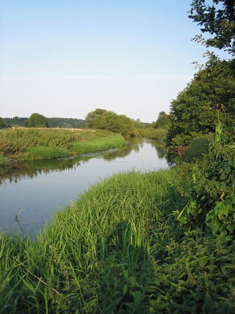 River beside Swanton Morley road, near Worthing, Norfolk. Downstream from Home Farm 523502, Swanton Morley Road skirts this river for about a kilometre.
