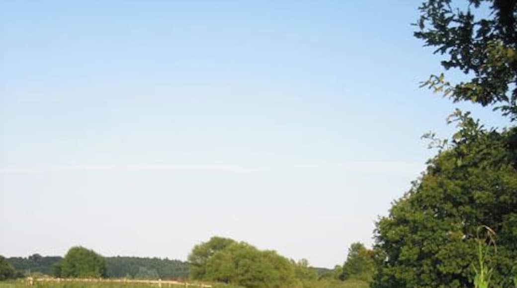 River beside Swanton Morley road, near Worthing, Norfolk. Downstream from Home Farm 523502, Swanton Morley Road skirts this river for about a kilometre.