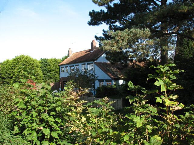 A white house with a red roof surrounded by dense green foliage and trees.