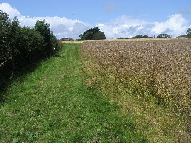 Avon Estuary Walk The Avon estuary walk cuts to the right between the crops. In the far distance yoy can just see the spire of Bigbury church.