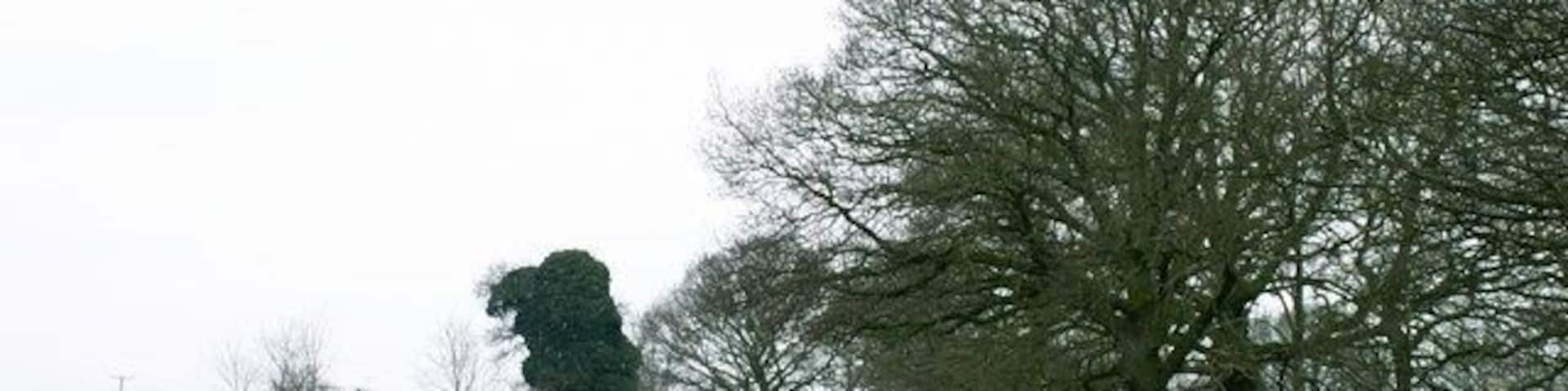 Farmland at Bicton. Bicton Farm, Bicton, north of Shrewsbury, Shropshire.