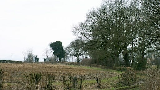 Farmland at Bicton. Bicton Farm, Bicton, north of Shrewsbury, Shropshire.