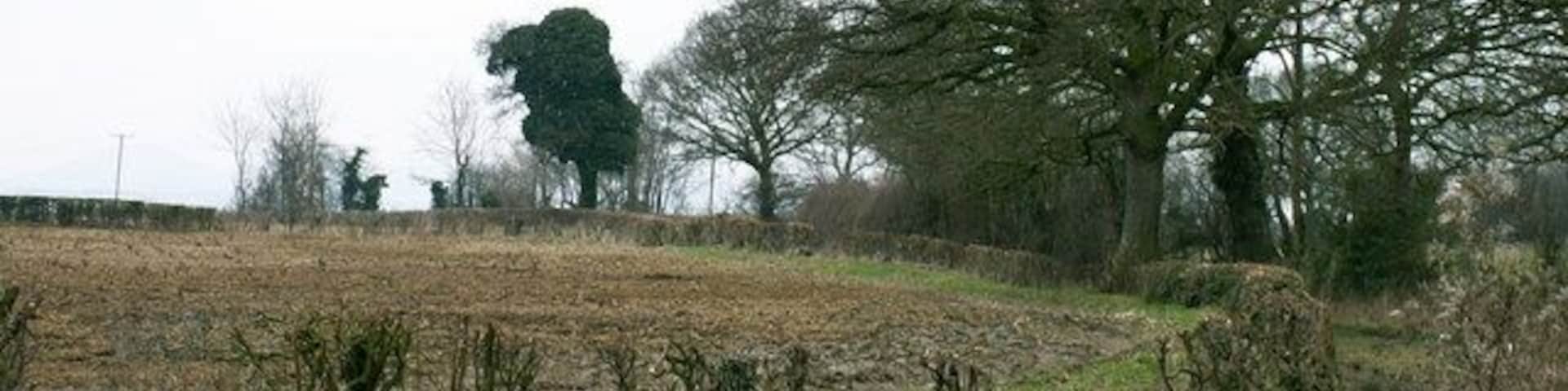 Farmland at Bicton. Bicton Farm, Bicton, north of Shrewsbury, Shropshire.