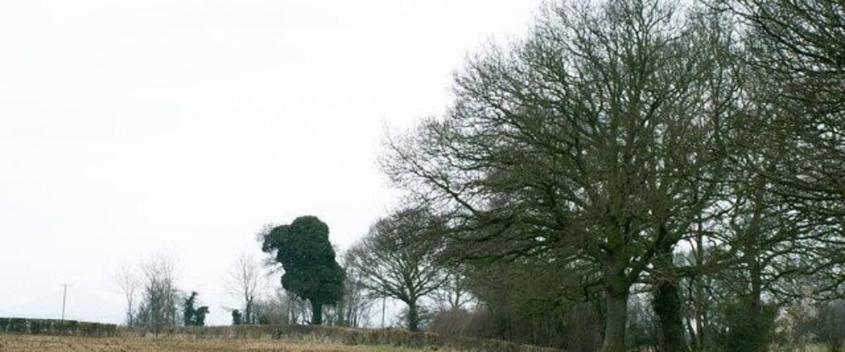 A rural landscape with a muddy path, fields, and trees.