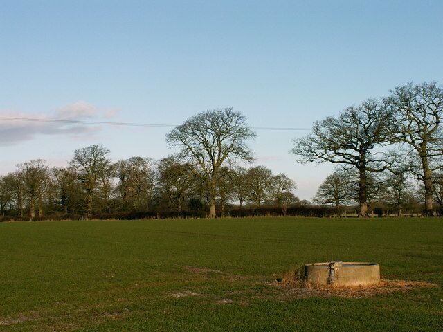 Farmland. Farmland along the lane to 'The Isle' - land within a meander of the River Severn near Bicton, Shrewsbury, Shropshire.