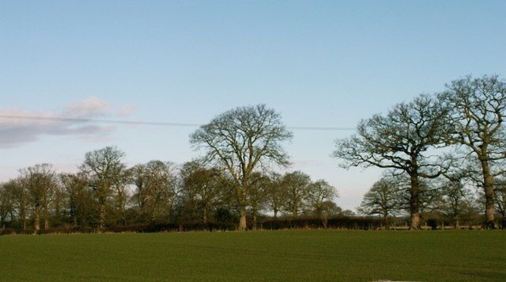 Farmland. Farmland along the lane to 'The Isle' - land within a meander of the River Severn near Bicton, Shrewsbury, Shropshire.