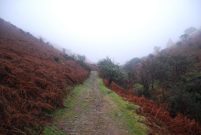 Macmillan Way West, Bicknoller Combe