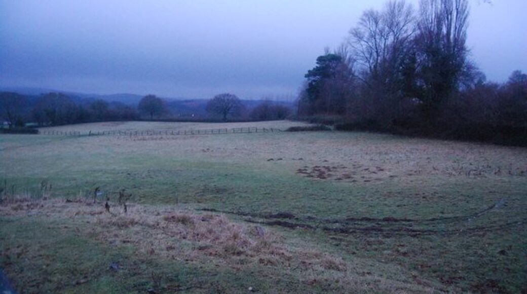 Field on the edge of Bicknoller