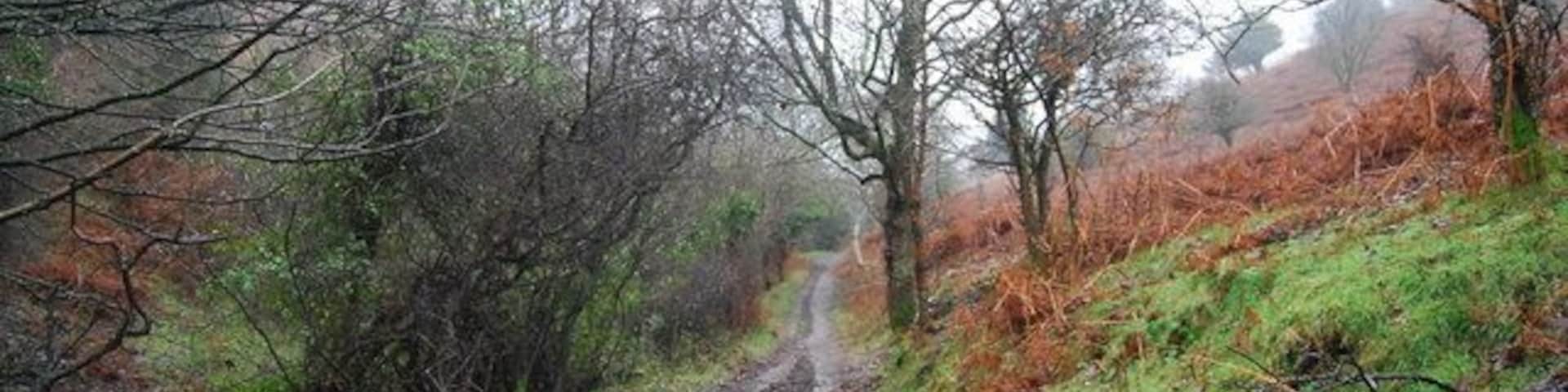 Macmillan Way West, Bicknoller Combe