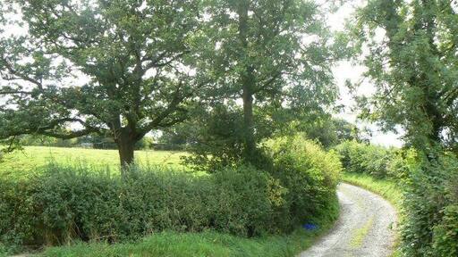 Track to Aberbechan Dyke Leading to an archaeological feature, possibly Roman Road, excavated in 1996,