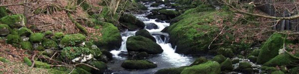 River near the waterworks above Gerlan. River near the waterworks above Gerlan, upstream of the road bridge