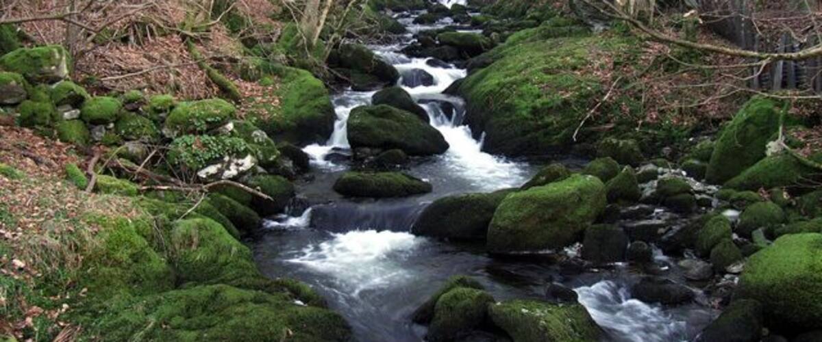 River near the waterworks above Gerlan. River near the waterworks above Gerlan, upstream of the road bridge