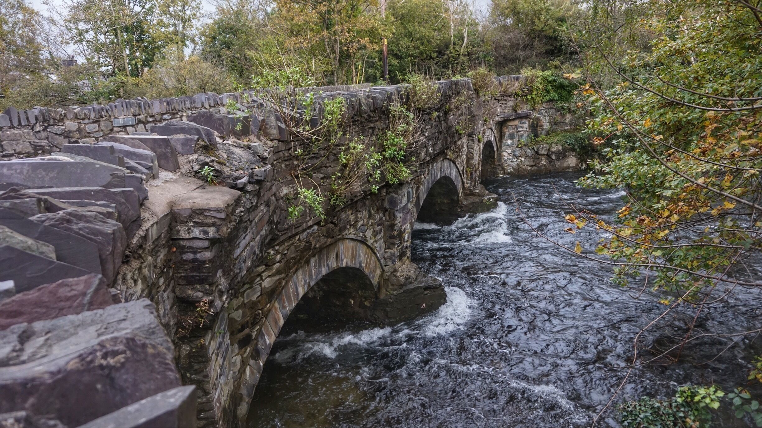 A stone bridge over a flowing river surrounded by trees.