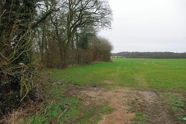 Field corner The scrap of woodland on the left contains a pond or flooded pit, but too overgrown to view properly.