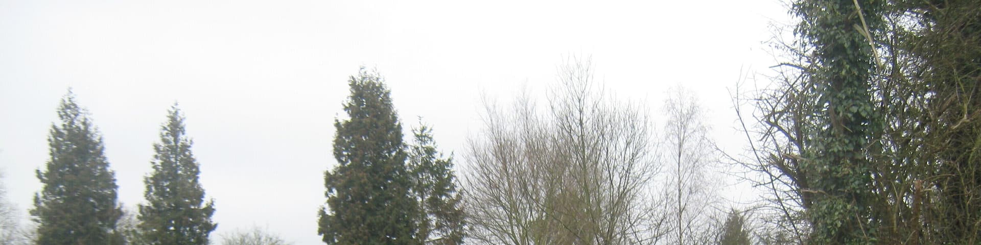 Tollride near Brissenden Green This track is used by a toll rider as part of SETR. (South East Toll Rides).