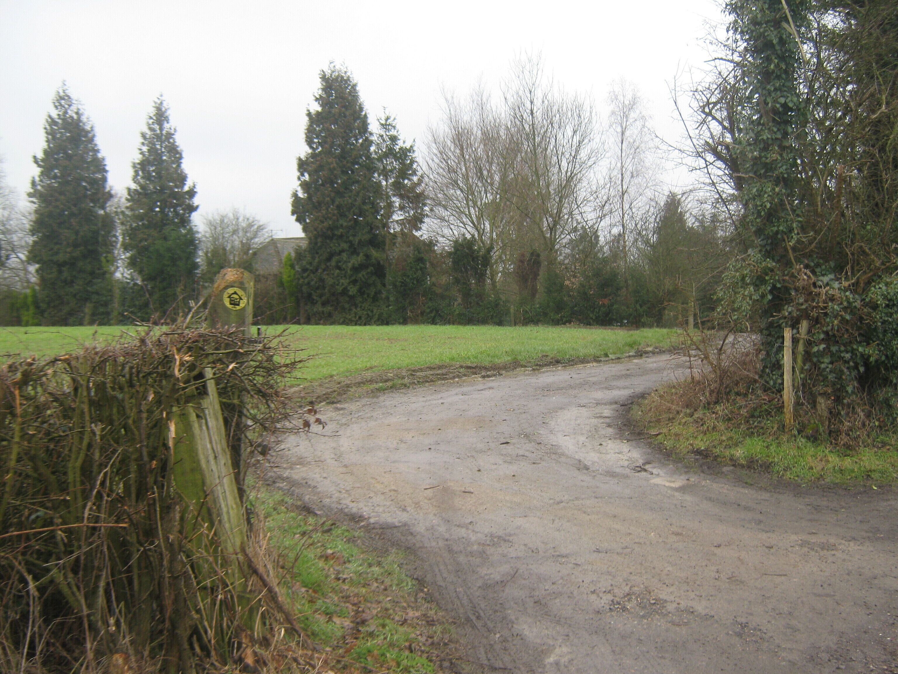 A rural dirt road curving through a field with trees and a signpost.
