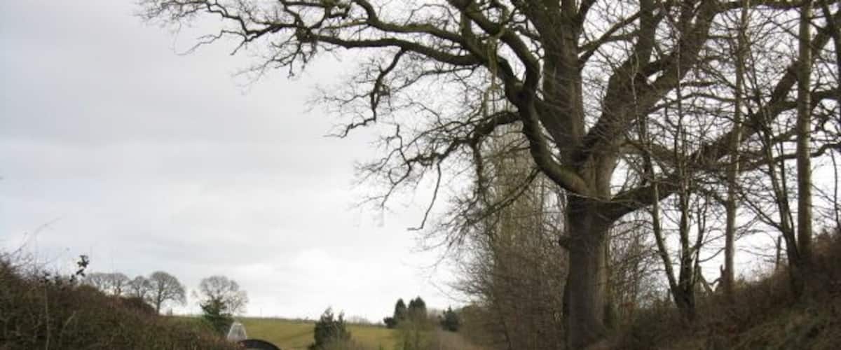 A narrow rural road flanked by trees and hedgerows.