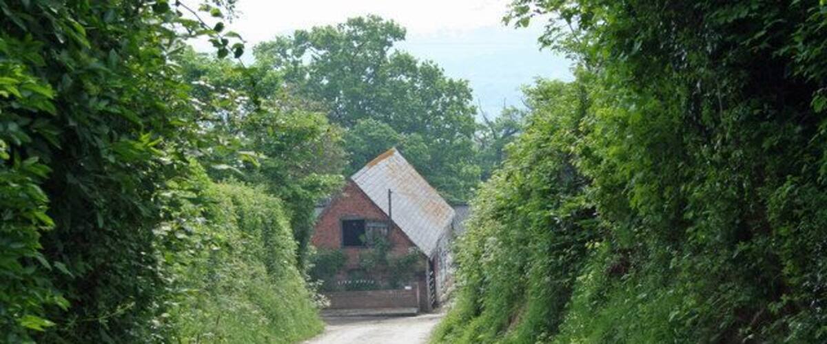 A narrow, unpaved rural road flanked by dense greenery, leading to a red brick building with a sloped roof.