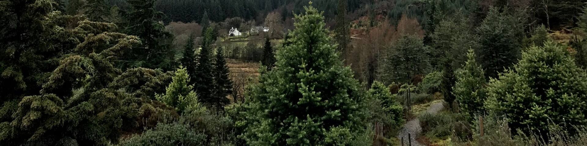 Benmore botanical gardens with the rain moving in. Really nice place for a day out. Lots to see and do and some nice viewpoints like this.