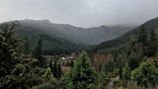 Benmore botanical gardens with the rain moving in. Really nice place for a day out. Lots to see and do and some nice viewpoints like this.