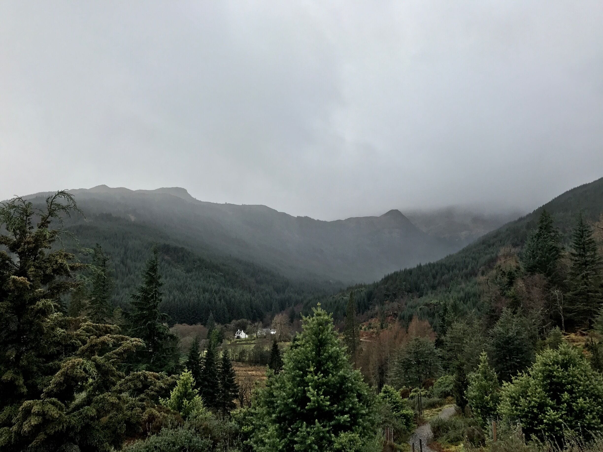 A misty valley with dense forests and a small cluster of houses.